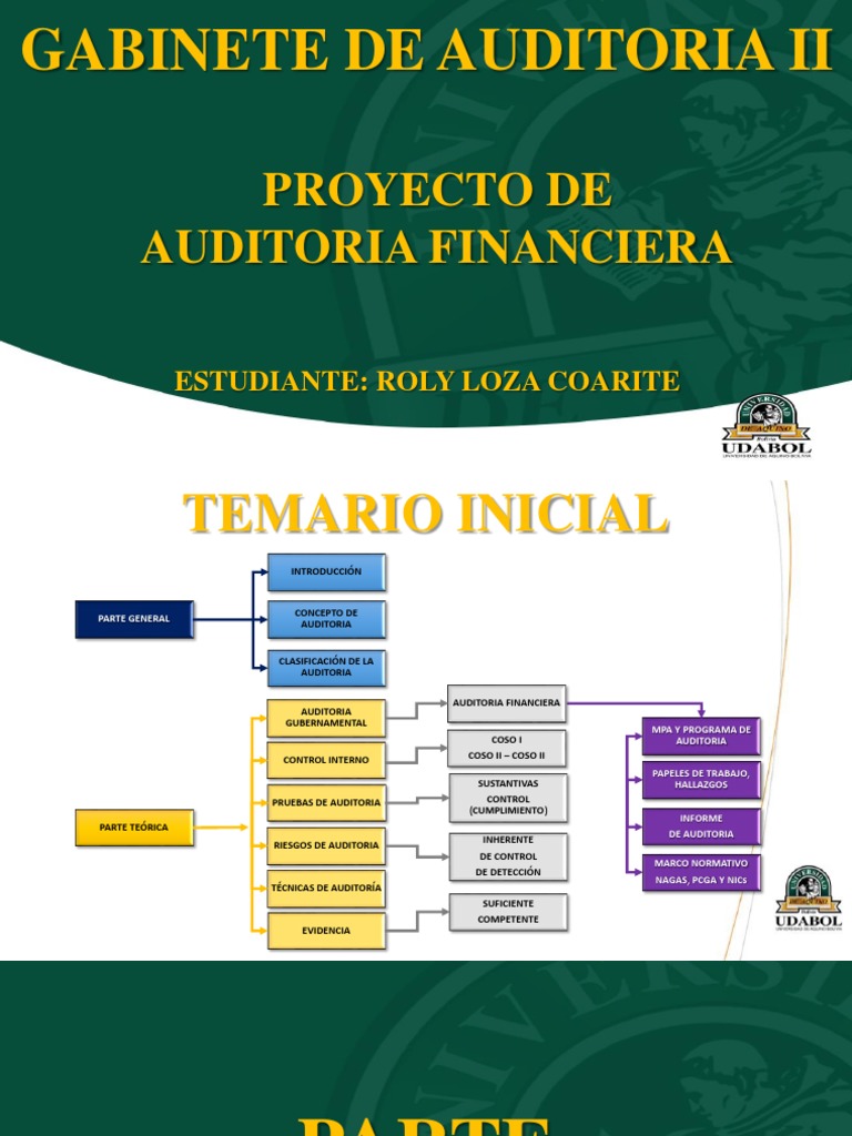 Guía Completa de Auditoría Financiera | PDF | Auditoría | Contralor