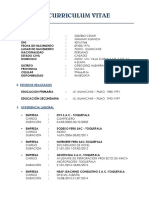 Curriculum Vitae - Eusebio Mamani