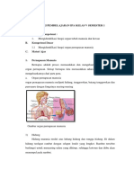 Materi Ajar IPA Kelas V Semester 1 - Organ Pernapasan Manusia KTSP