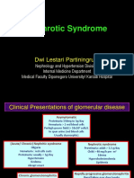 Sindrom Nefrotik