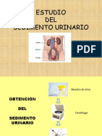 Estudio del sedimento urinario