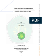 Antioksidan Kulit P. Kepok PDF