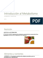 introducción al metabolismo
