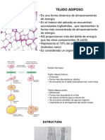 Tejido Adiposo.1