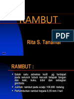 RAMBUT  PATIMURA 2019.ppt