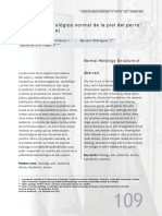 Dialnet-EstructuraHistologicaNormalDeLaPielDelPerroEstadoD-4943892.pdf