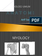 2. Myologi