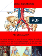 Aorta: origen, trayecto y ramificaciones principales