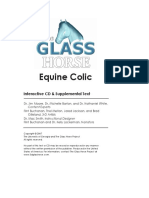 (2007) Glass Horse Equine Colic.pdf