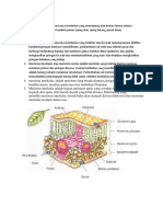 Biologi Struktur Jaringan Daun