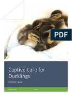 Facilitators Guide Duckling Course Complete