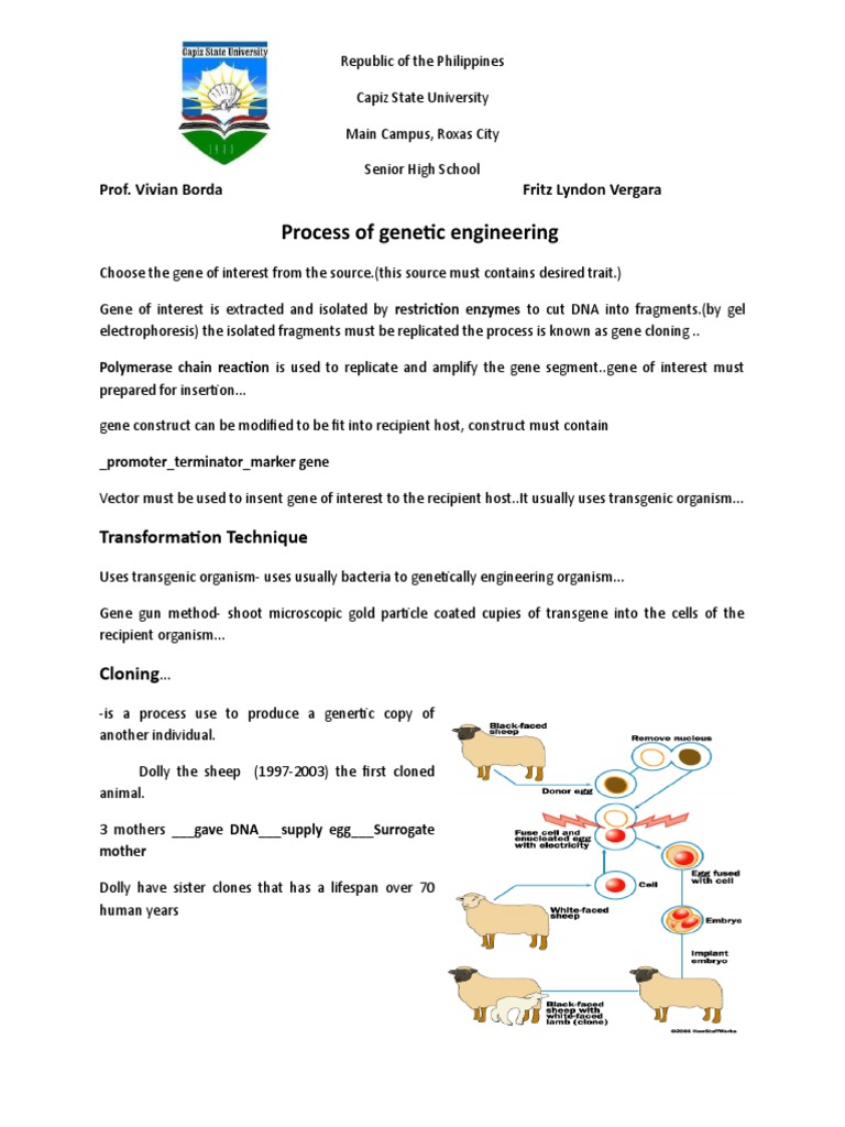 Process of Gene | PDF | Science & Mathematics