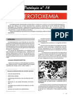 Enterotoxemia