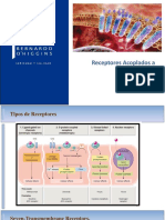 Clase - 04 - Receptores Acoplados A Proteína G