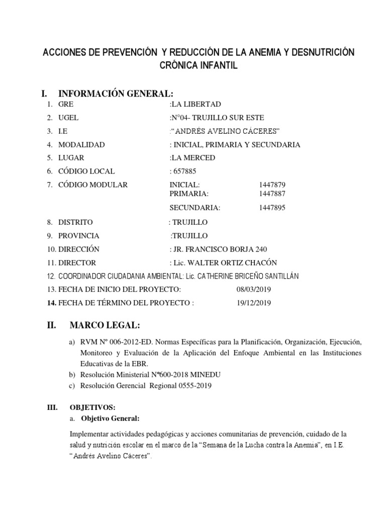 Proyecto de Lucha contra la Anemia Infantil | PDF | Dieta | Anemia