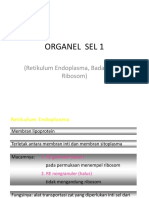 Organel 1