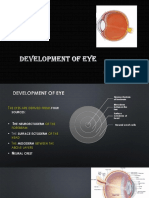 Development of Eye