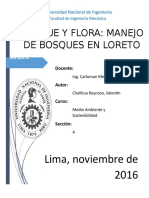 Proyecto, Bosques.docx