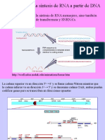 5 Transcripción