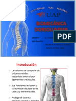 Biomecanica