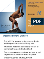 The Endocrine System: Part A: Prepared by Janice Meeking, Mount Royal College