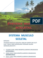 SYSTEMA  MUSCULO SCELETAL.pptx