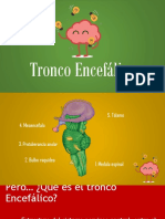 Tronco Encefalico