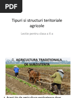 Tipuri Si Structuri Teritoriale Agricole