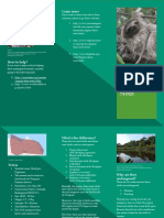 English Endangered Animal Brochure Scribd