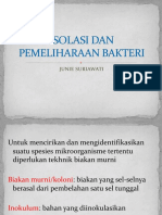 Isolasi Bakteri.pdf