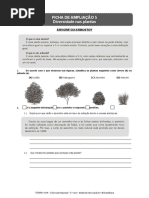  Ficha de Ampliação 5