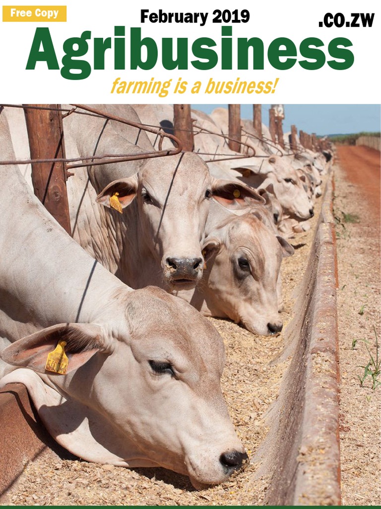 Agribusiness Magazine February 2019 Edition PDF | PDF | Fertilizer ...