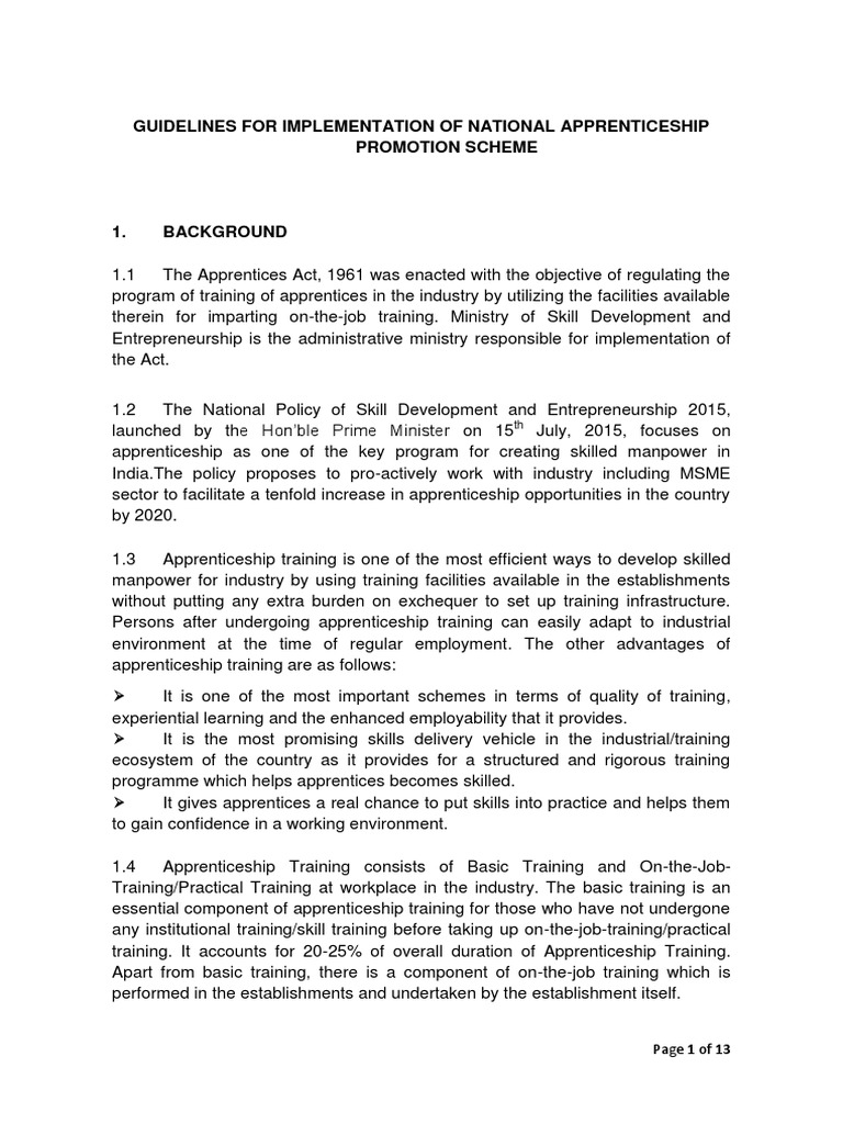 NAPS Guidelines | PDF | Apprenticeship | Vocational Education