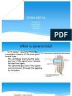 Spina Bifida: Saba Ramzan Nadia Shoukat Laraib Yasin Anam Waris