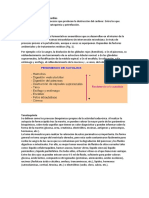 Efectos Cadavericos