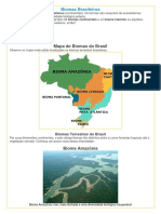Biomas Brasileiros.docx