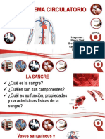 Biologia SST Sistema Cirulatorio