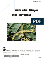 Insetos da soja no Brasil.pdf
