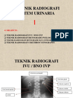 Teknik Radiografi Bno Ivp