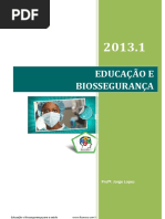 07-47-18-apostilabiosseguranca.pdf