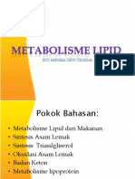 Metabolisme Lipid Sederhana