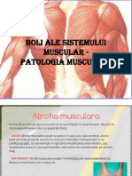Boli Ale Sistemului Muscular