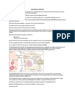 Metabolisme Bilirubin