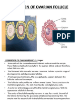 Embryology Models With Notes Notes-1