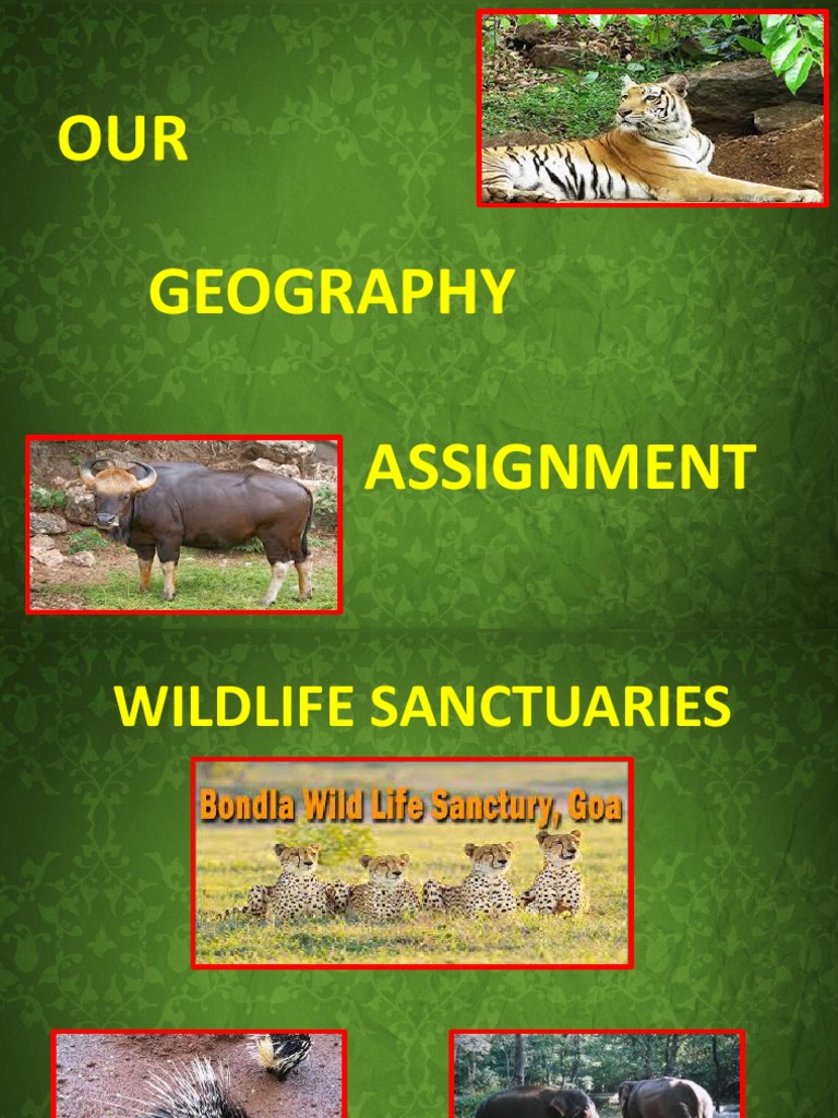 assignment on wildlife