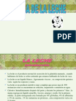 Lácteos PDF