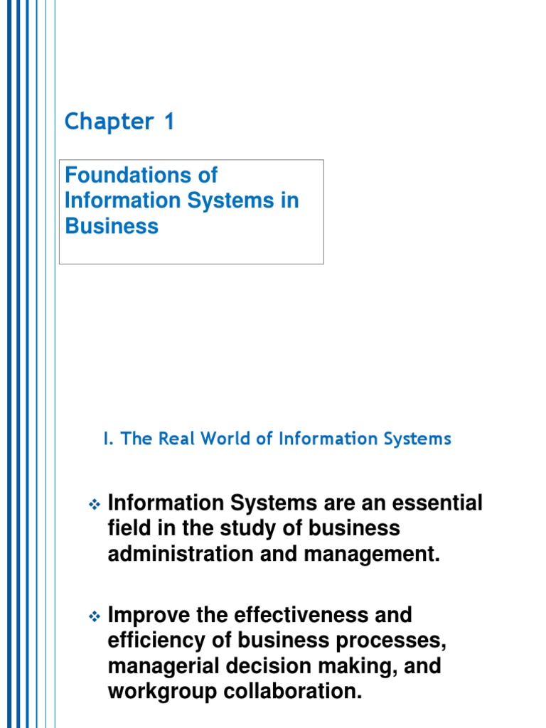 Foundations of Information Systems in Business | PDF | Information ...