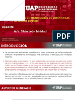 Semana 5 Coleccion de Semen PDF