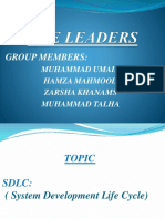 SDLC Group Project