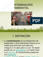 Contaminación Ambiental 1° Clase